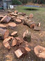 Brandhout Treurwilg, Ophalen, Volle zon, Treurboom