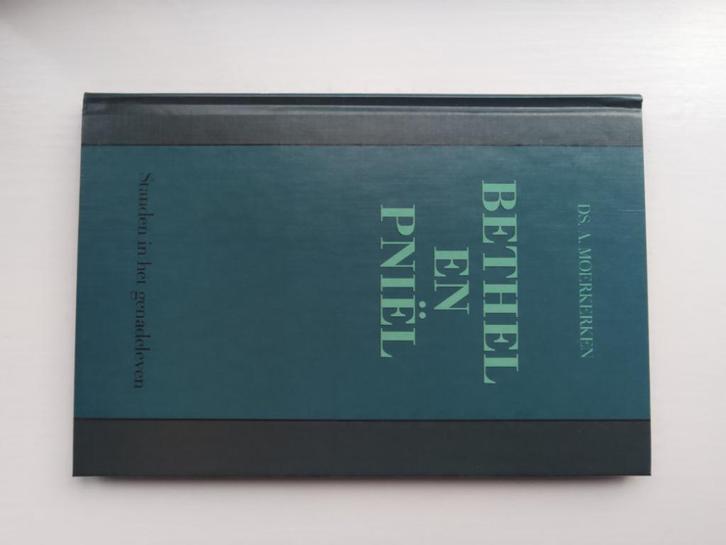 Bethel en Pniël - ds. A. Moerkerken, Boeken, Godsdienst en Theologie, Gelezen, Christendom | Protestants, Ophalen of Verzenden