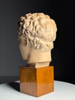 Hoofd beeld grieks gips, Antiek en Kunst, Kunst | Beelden en Houtsnijwerken, Ophalen