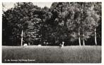 In de bossen bij Hoog-Soeren (1955) 129059, Ophalen of Verzenden, 1940 tot 1960, Gelopen, Gelderland