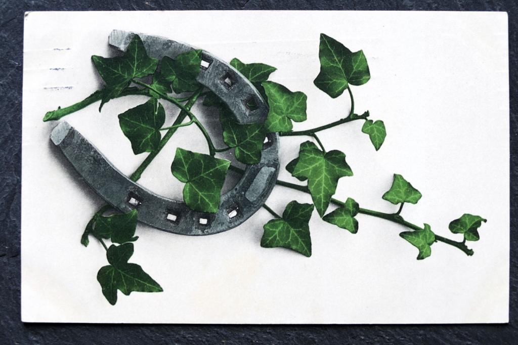 Hoefijzer versierd door klimop, 1912, Verzenden, Voor 1920, Gelopen, Natuur