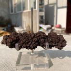 Dinosauruspoep COPROLITE (D1), Ophalen of Verzenden, Fossiel