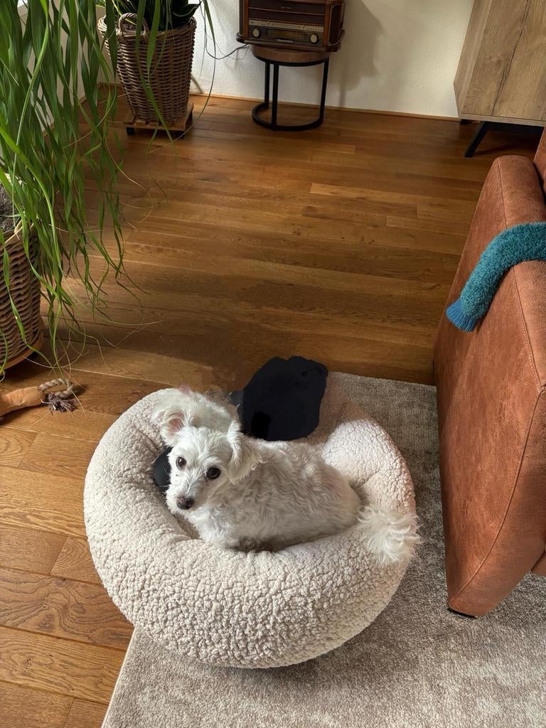 Te koop aangeboden eiken houten paket vloer, Doe-het-zelf en Verbouw, 10 m² of meer, 10 tot 30 cm, Hout, 150 cm of meer