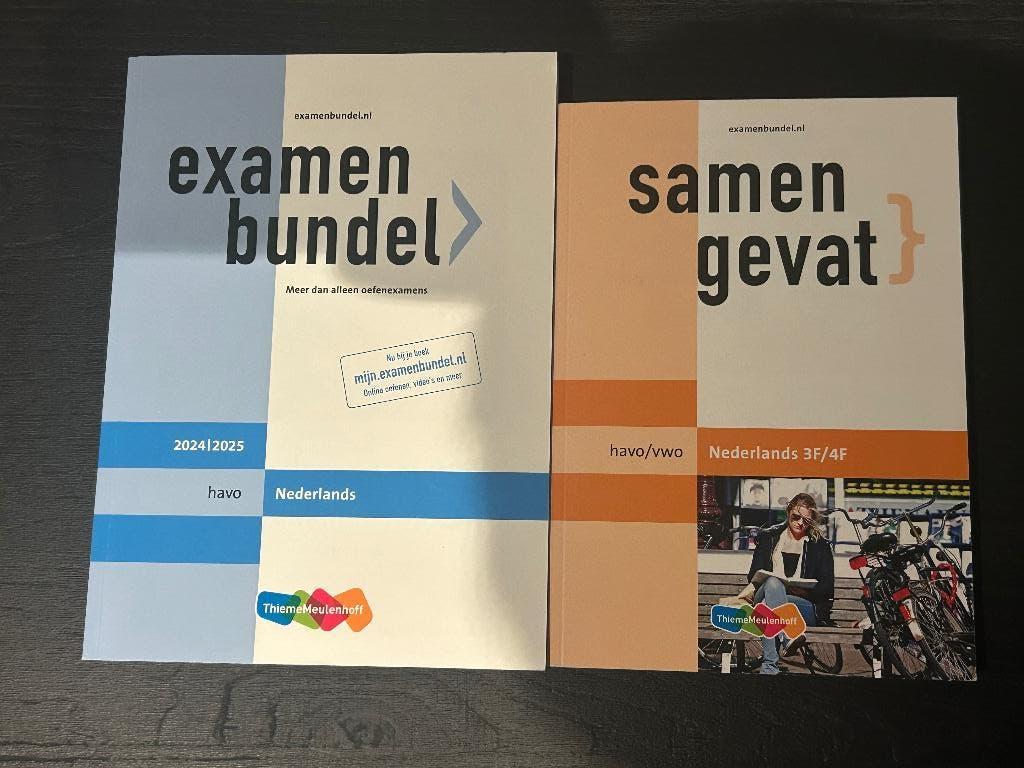 Nederlands Examenbundel & Samengevat, Boeken, Schoolboeken, Ophalen of Verzenden, Zo goed als nieuw, Nederlands, HAVO
