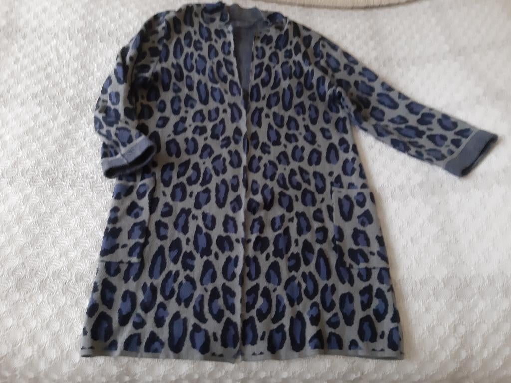 prachtig grijs/blauw lang vest Giulia e Tu maat 42, Kleding | Dames, Truien en Vesten, Ophalen, Blauw, Maat 42/44 (L), Zo goed als nieuw