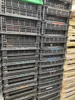 T.K. nog ca 60 hard plastic kratten, Ophalen, Gebruikt, 40 tot 60 cm, 50 tot 75 cm