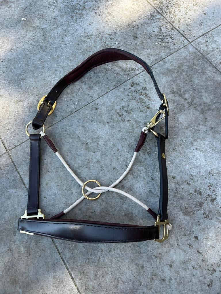 Lederen halster, Dieren en Toebehoren, Ophalen of Verzenden, Zo goed als nieuw, Overige soorten