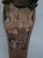 Taxidermie,Taxidermy ZEER UNIEK "Edelhert" schedel met gewei, Ophalen of Verzenden, Zo goed als nieuw, Hert, Gewei of Kop