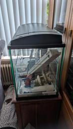 80x40x40 Aquarium, Ophalen, Gebruikt, Leeg aquarium