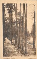 AK Ginneken, Breda - Eewiglaantje, Verzenden, 1920 tot 1940, Gelopen, Noord-Brabant