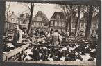 purmerend  koeien en kalveren markt, Verzenden, 1940 tot 1960, Gelopen, Noord-Holland