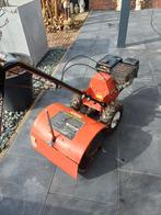 Tuinfrees kibani, Ophalen of Verzenden, Gebruikt, 50 cm of meer