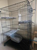 Te koop kitten/katten bench voor binnen, Ophalen, Zo goed als nieuw