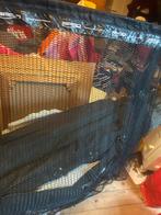 Karper vis set BIEDEN MOET WEG, Ophalen of Verzenden, Gebruikt, Complete set