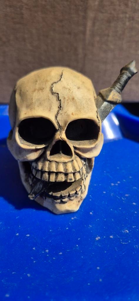 Skull, Ophalen of Verzenden, Zo goed als nieuw, Zilver