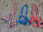 Nieuwe halsters diversen kleuren en maten, Dieren en Toebehoren, Ophalen, Nieuw, Dressuur