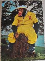 aap in geel motorpak - 1970, Verzenden, 1960 tot 1980, Gelopen, Wild dier