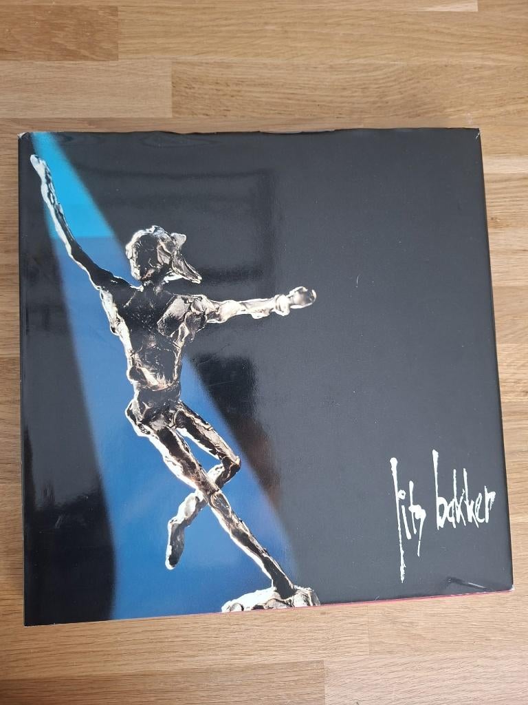 boek jits bakker, Boeken, Ophalen of Verzenden, Schilder- en Tekenkunst, Jits Bakker, Zo goed als nieuw