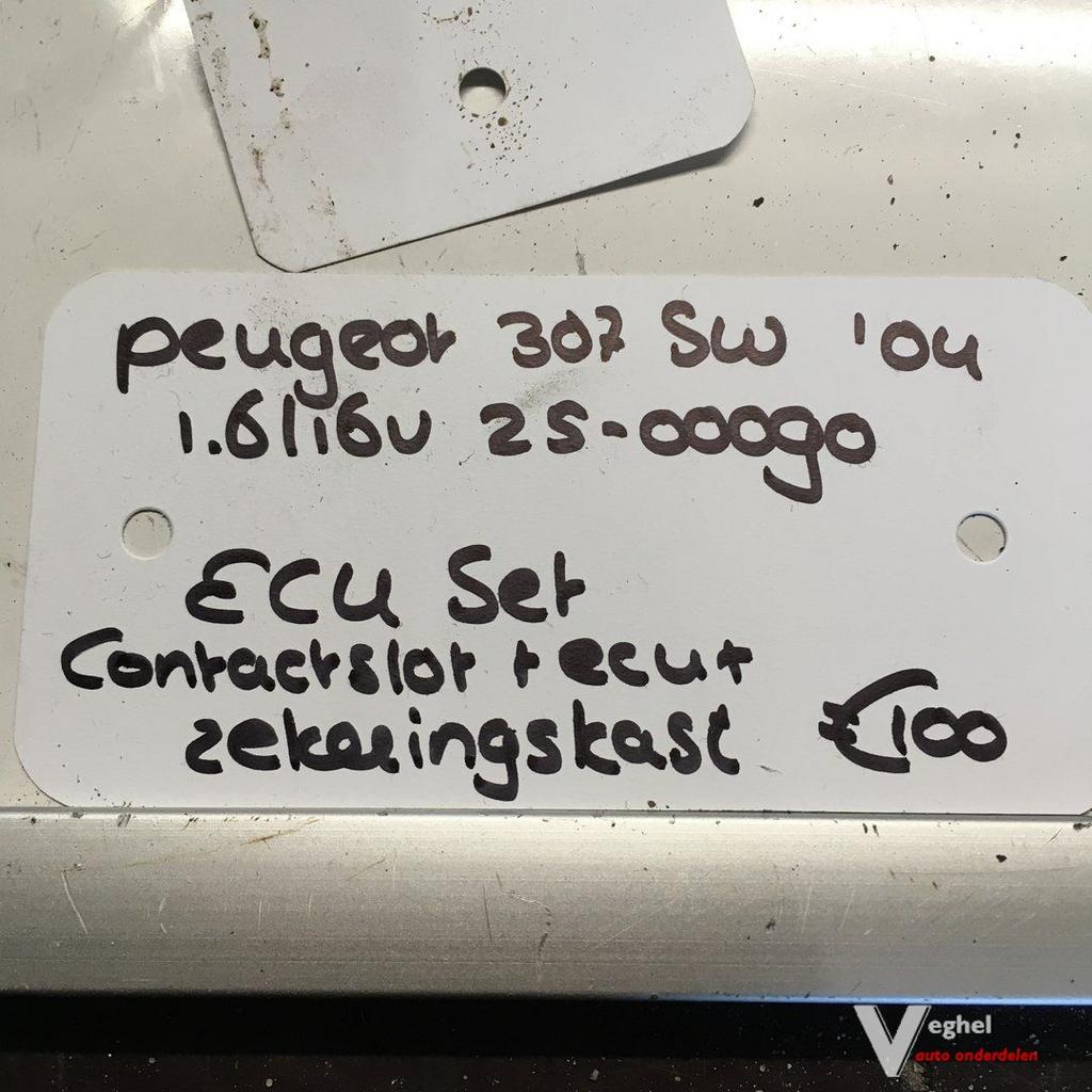 Peugeot 307 sw  2004  1.6 16v 2500090  Ecu  96 574 998 80 se