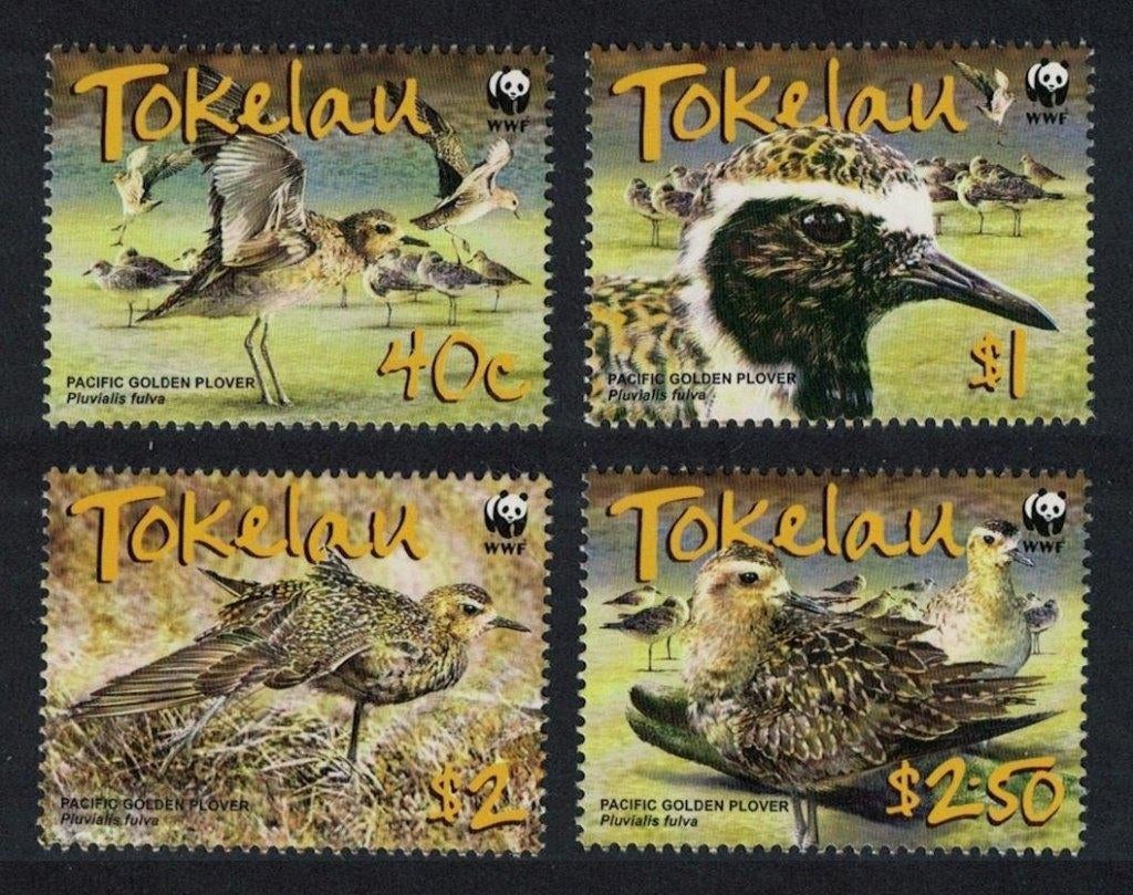 TOKELAU 5 - Dieren WWF: vogels (goudplevier), Ophalen of Verzenden, Postfris, Dier of Natuur