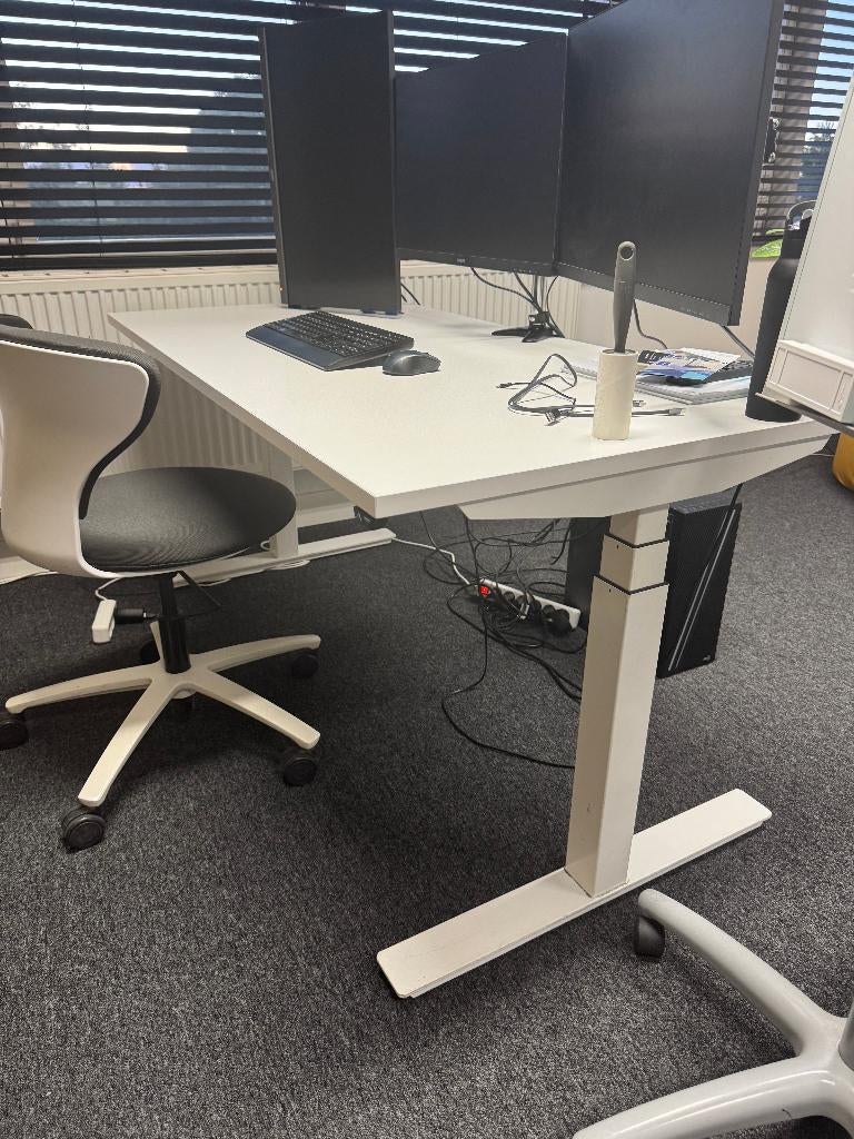 Elektrische zit - sta bureaus, Huis en Inrichting, Bureaus, Ophalen, Zit-sta bureau, Nieuw, Kunststof