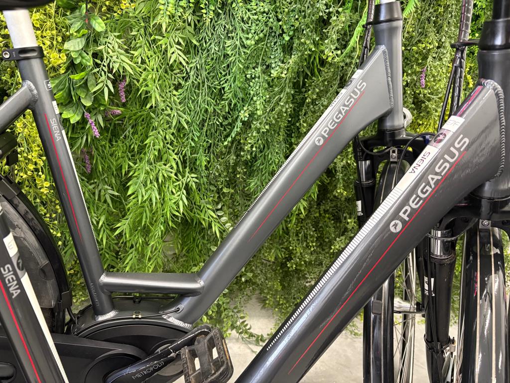 Set Pegasus Siena E7F – Bosch Middenmotor - 400Wh - Nexus 7, Niet ingevuld, Ophalen of Verzenden, Zo goed als nieuw, 51 tot 55 cm