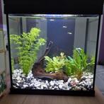 Gezocht: Aquarium grind, Dieren en Toebehoren, Vissen | Aquaria en Toebehoren, Ophalen, Grind, Zand of Voedingsbodem