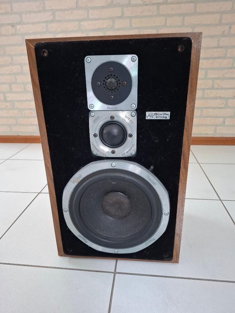 Magnet All Ribon 8P, Audio, Tv en Foto, Luidsprekers, Ophalen, Gebruikt, Magnat, 60 tot 120 watt