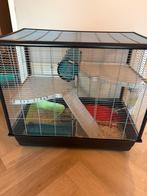 Grote kooi rattenkooi, Dieren en Toebehoren, Ophalen, Zo goed als nieuw, Kooi, 90 cm of meer