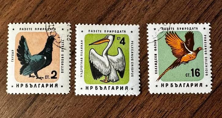 Bulgarije 1961 postzegels met vogels gestempeld, Ophalen of Verzenden, Bulgarije, Gestempeld
