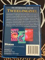 De Ontmoeting met je Tweelingziel Orakeldeck - Fabio Vinago, Ophalen of Verzenden, Zo goed als nieuw, Spiritualiteit algemeen