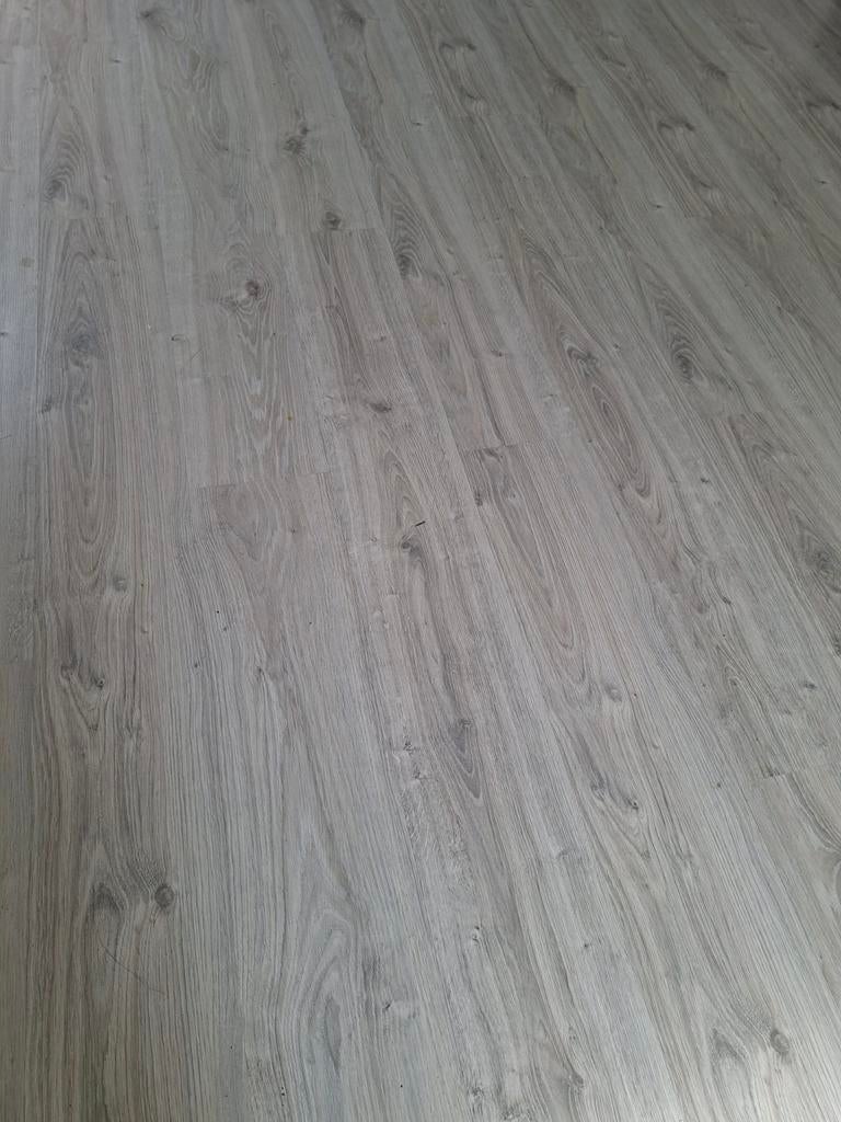 Ca. 33 m² grijs eiken laminaat - direct op te halen, Gebruikt, 25 tot 50 m², Grijs, Laminaat
