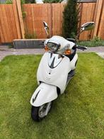 Qwic Evader EV100Metro - Elektrische Scooter (Nieuwe accu), Ophalen, Gebruikt, Elektrisch, Overige merken