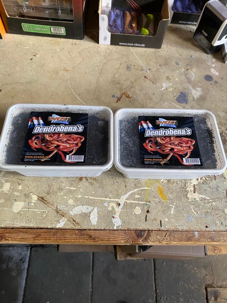 Volop Maden en Viswormen te koop, Watersport en Boten, Overige typen, Nieuw, S, H