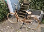 Batavus MAMBO-LX Lage instap Damesfiets Goud 28inch, Ophalen, Gebruikt, Batavus, (Extra) lage instap