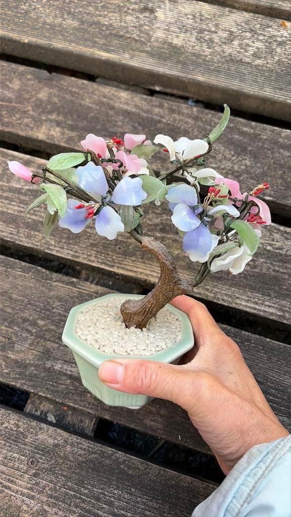 Vintage bonsaiboom, Ophalen of Verzenden, Zo goed als nieuw