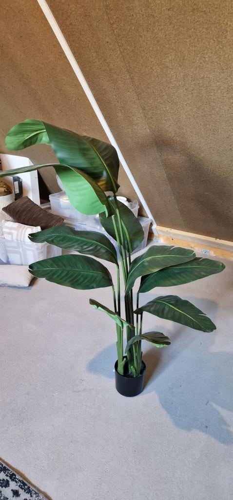 Strelitzia plant kunst, Binnen, Groen, 160 cm, Kunstplant