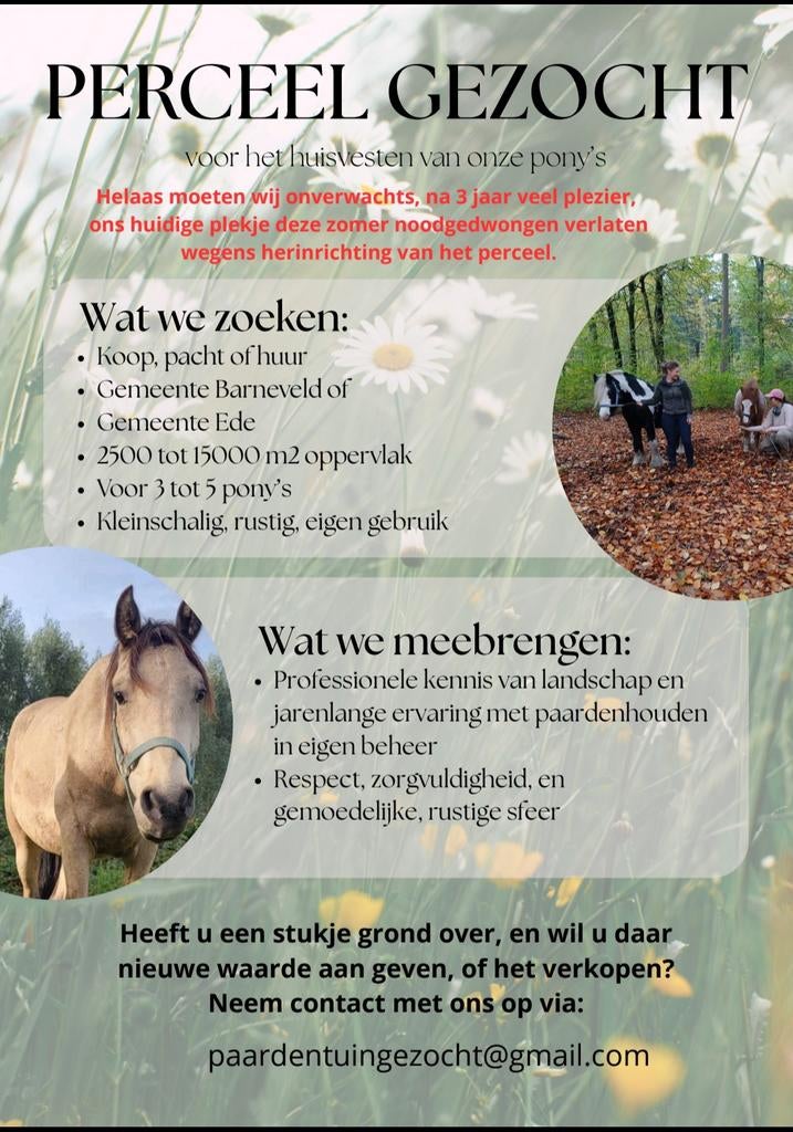 Nieuwe plek gezocht voor groepje van 3 pony ruinen