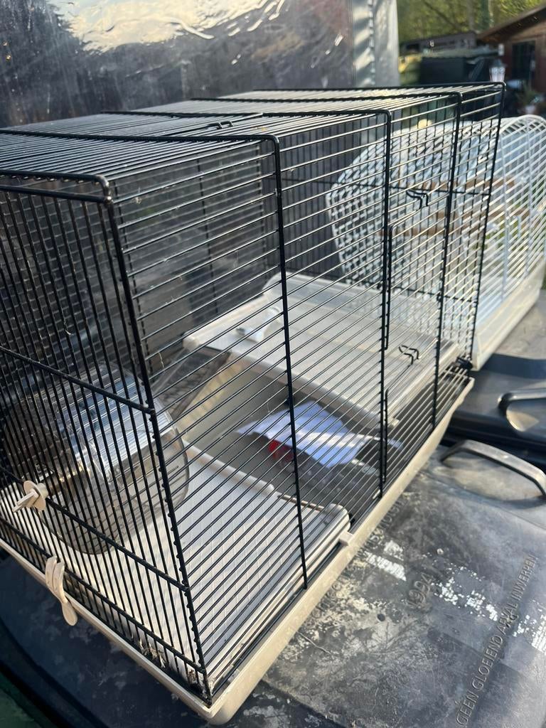 Te koop: 2 Kooien(vogels/cavia, Dieren en Toebehoren, Knaagdieren en Konijnen | Hokken en Kooien, Kooi, Gebruikt, Cavia, Ophalen