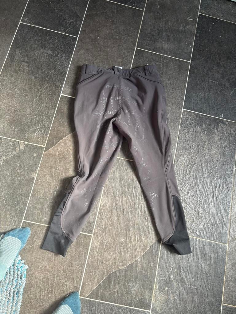 Lemieux Freya rijbroek maat 40, Dieren en Toebehoren, Ophalen of Verzenden, Gebruikt, Overige soorten