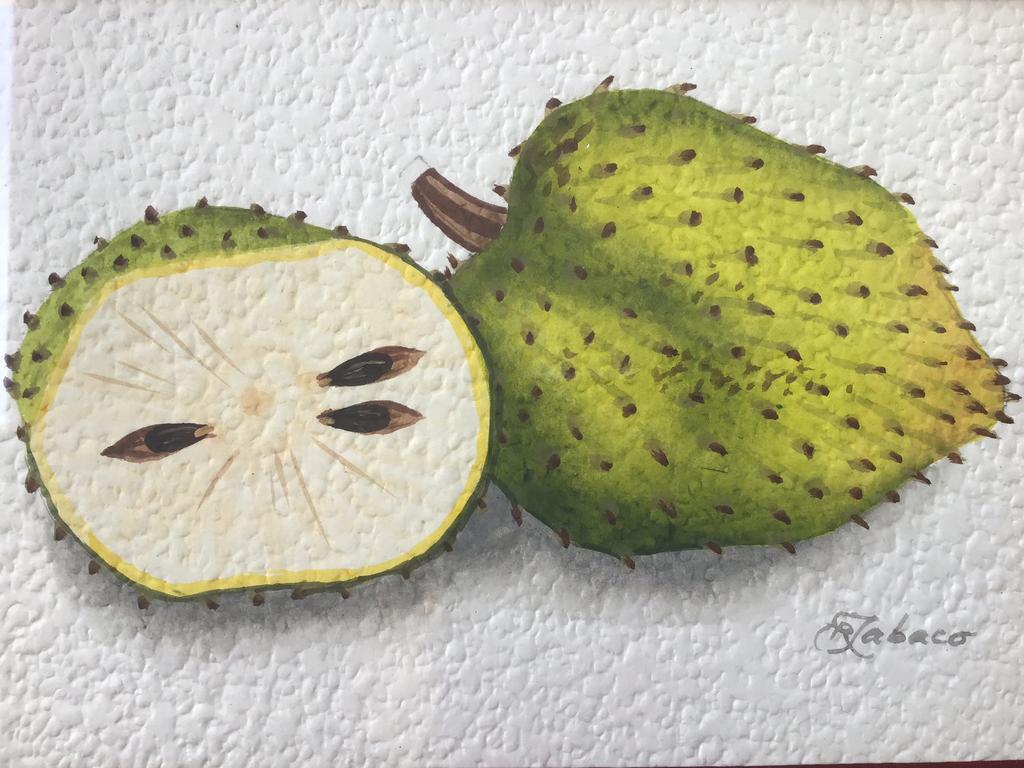 Stilleven zuurzak., Ophalen of Verzenden, 2000 tot heden