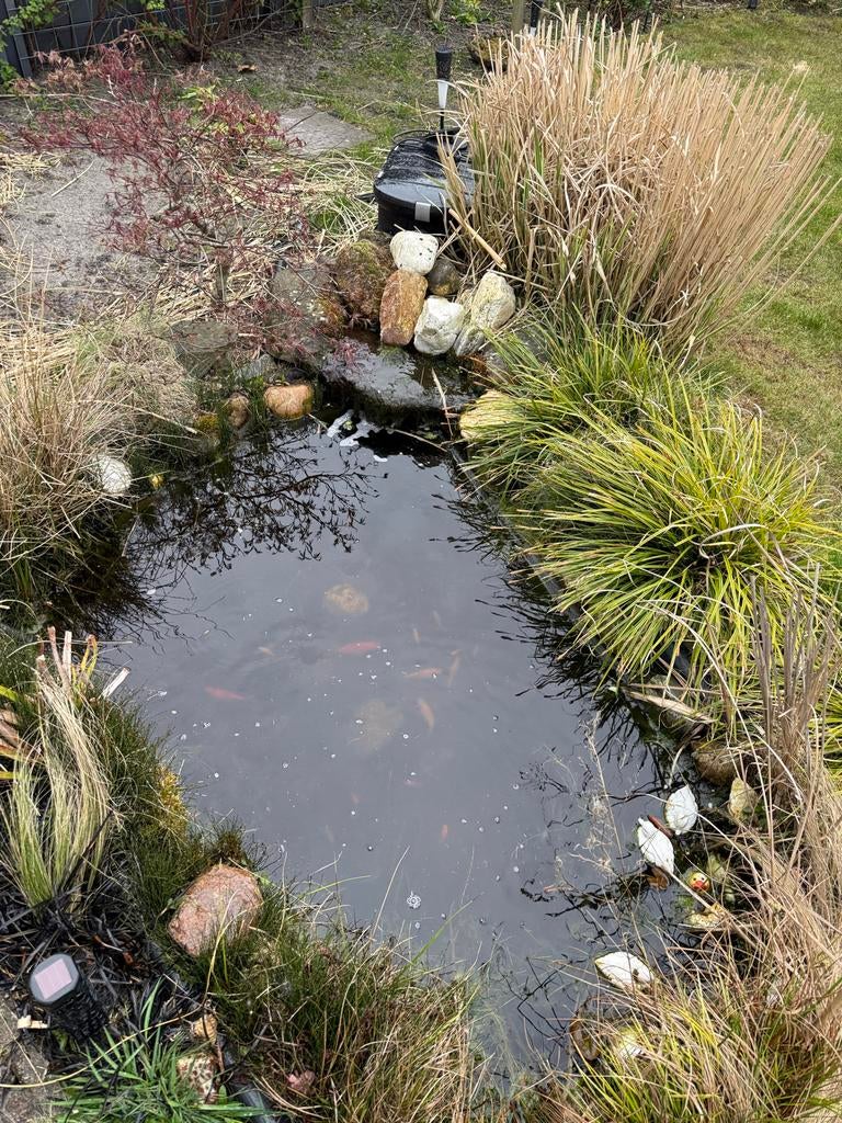 Goedvissen en vijver met toebehoren, Ophalen, Gebruikt