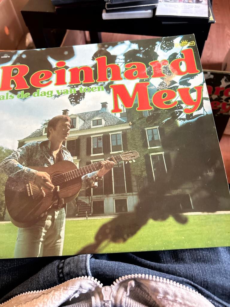 Reinhard Mey - Als de dag van toen (LP), Ophalen of Verzenden, 1970 - 1979, Gebruikt, 12 inch