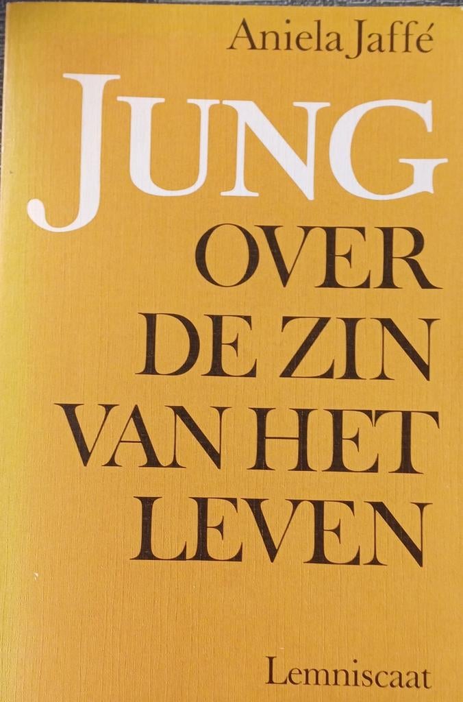 Jung Over de zin van het leven - Aniela Jaffé, Ophalen of Verzenden, Zo goed als nieuw