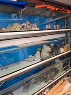 3x groot volglas aquarium 250x40x40, Dieren en Toebehoren, Vissen | Aquaria en Toebehoren, Ophalen, Leeg aquarium