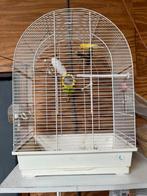 Complete Kooi met Waterslager Man. 2024, Ophalen of Verzenden, Nieuw, Metaal, Vogelkooi