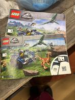 Lego Jurassic World 75940, Kinderen en Baby's, Speelgoed | Duplo en Lego, Ophalen of Verzenden, Zo goed als nieuw, Complete set