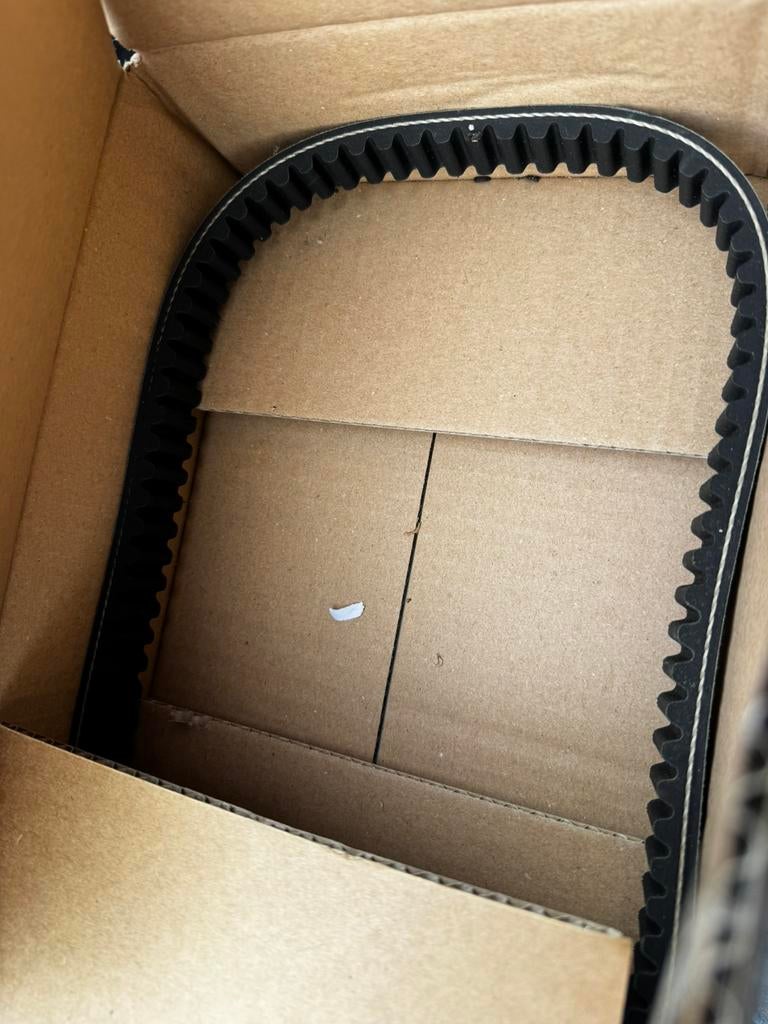 Aandrijfriem canta nieuw, Ophalen of Verzenden, Nieuw