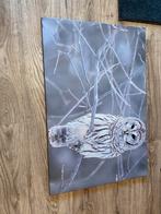 uilen schilderij, Ophalen, Zo goed als nieuw, Schilderij