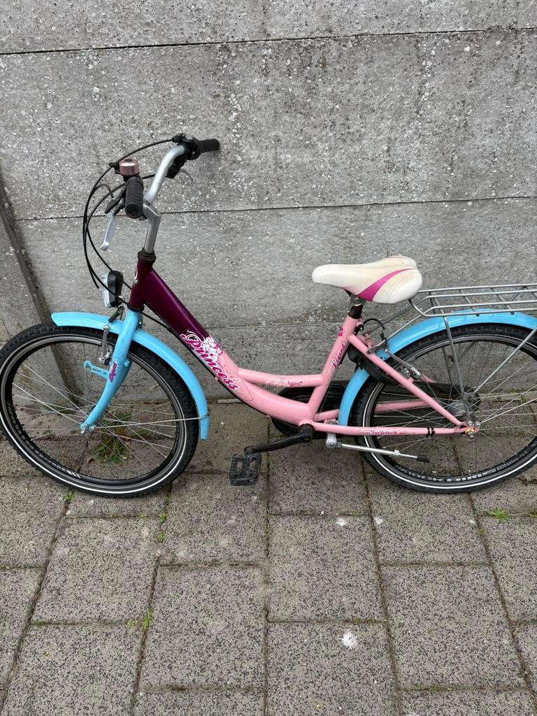 Meisjesfiets 24 inch roze blauw paars princess cycletech, Fietsen en Brommers, Fietsen | Meisjes, Versnellingen, Cycletech.nl